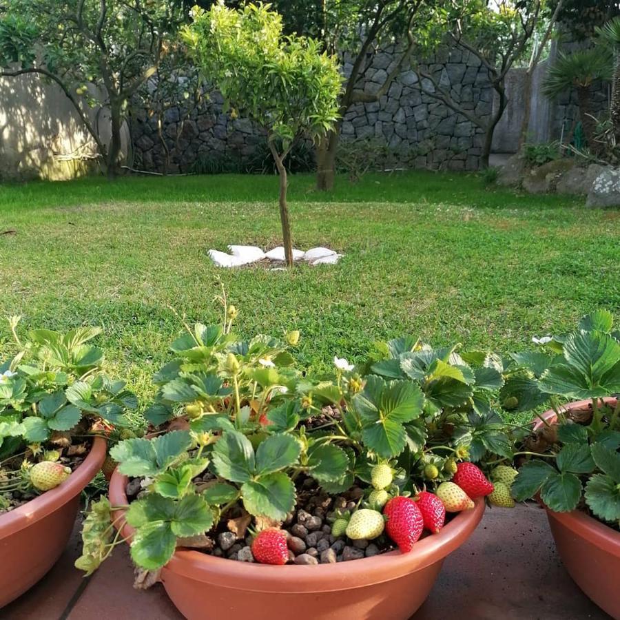 A Casa * Ischia